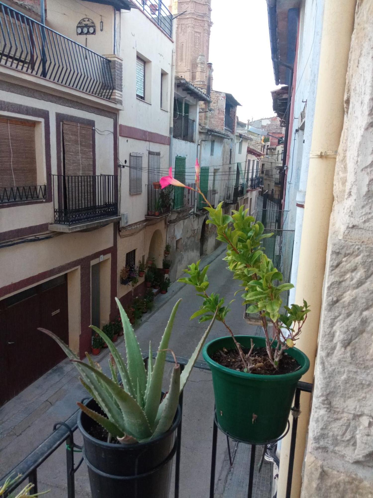 Musas Gastro Casa Rural Apartment Valdealgorfa Exterior photo