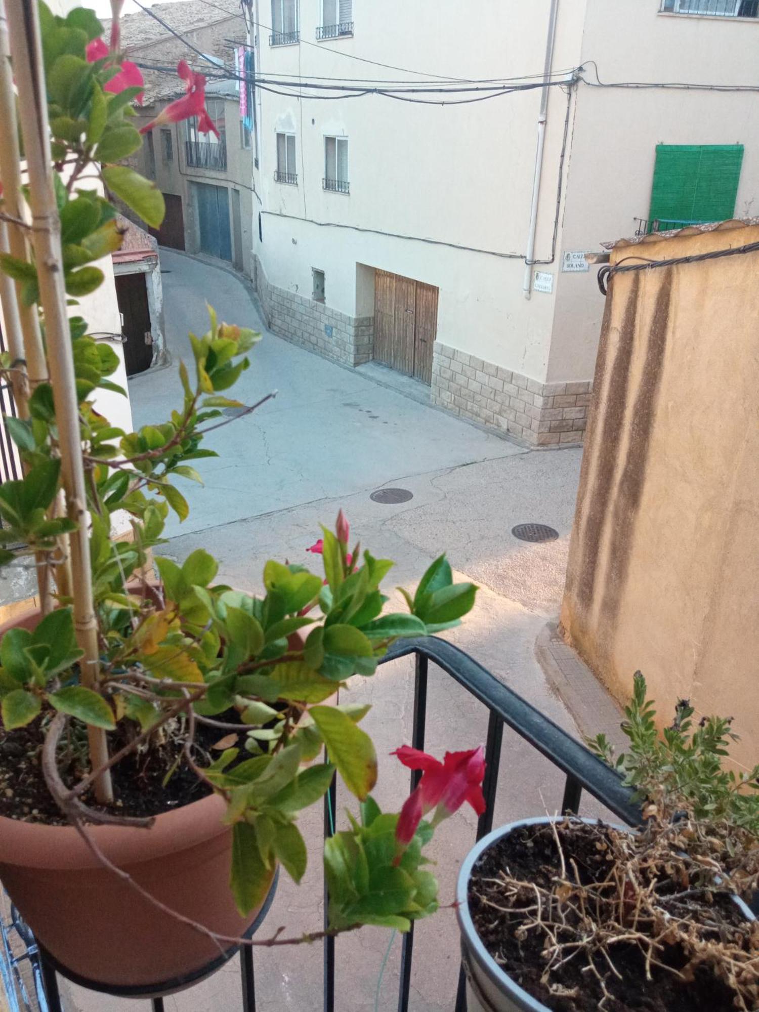 Musas Gastro Casa Rural Apartment Valdealgorfa Exterior photo